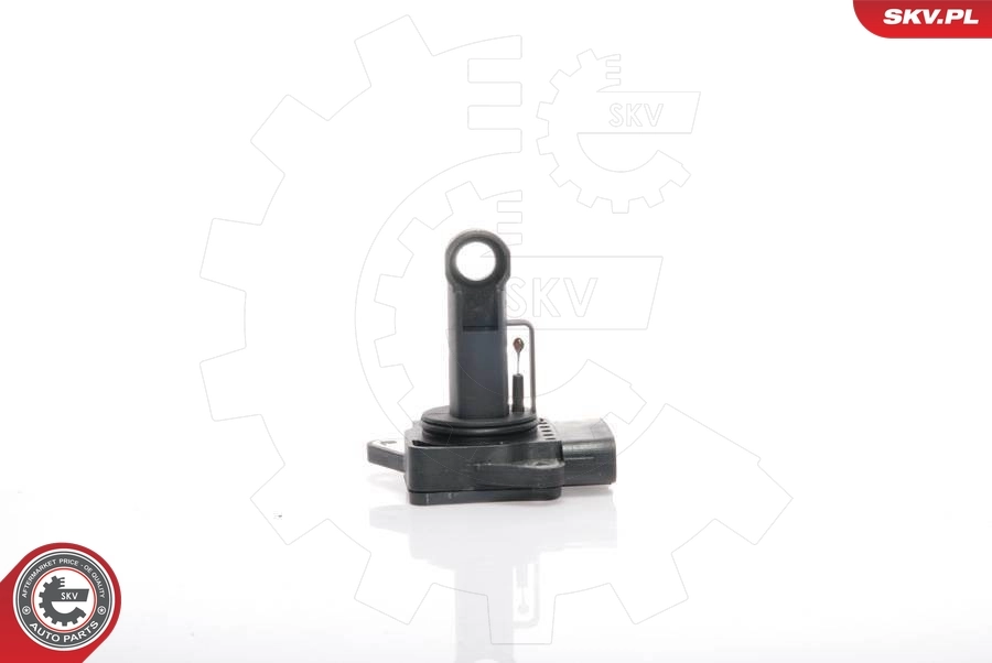 Mass Air Flow Sensor
